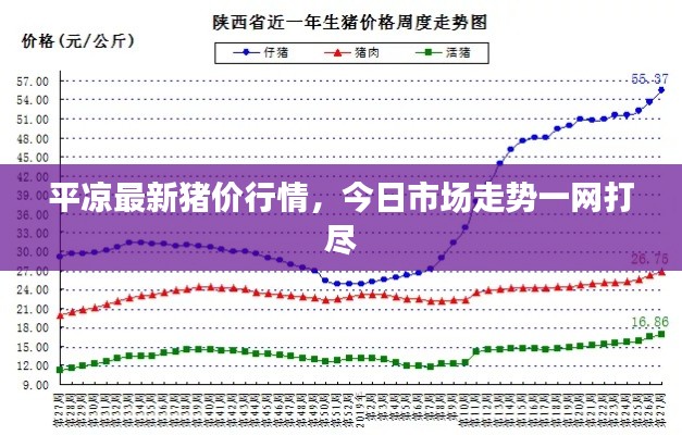平凉最新猪价行情，今日市场走势一网打尽