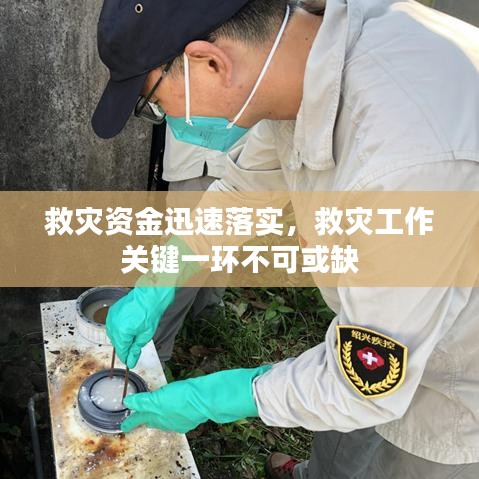 救灾资金迅速落实，救灾工作关键一环不可或缺