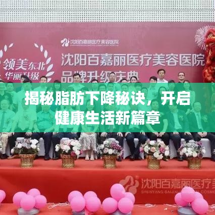 揭秘脂肪下降秘诀，开启健康生活新篇章