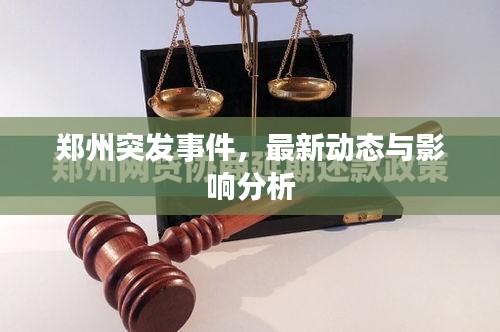 郑州突发事件，最新动态与影响分析