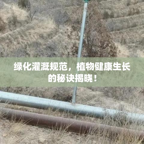 绿化灌溉规范，植物健康生长的秘诀揭晓！