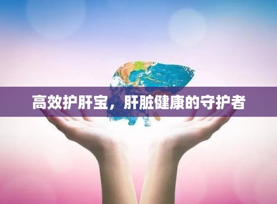 高效护肝宝，肝脏健康的守护者