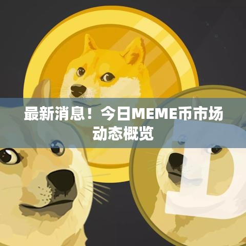 最新消息！今日MEME币市场动态概览
