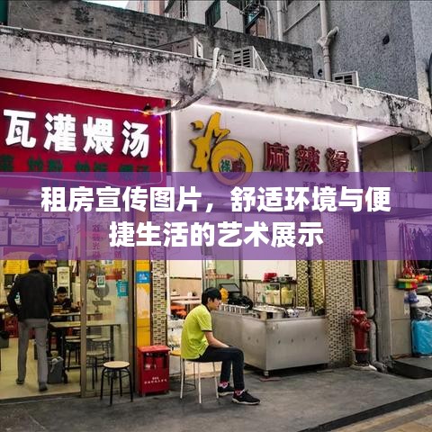 租房宣传图片，舒适环境与便捷生活的艺术展示