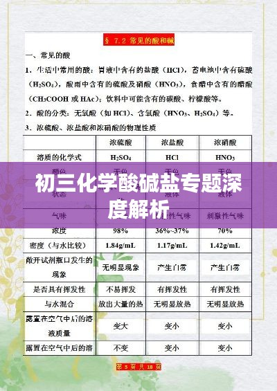 初三化学酸碱盐专题深度解析