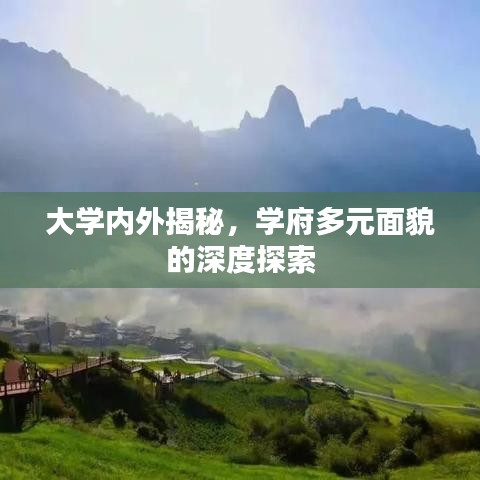 大学内外揭秘，学府多元面貌的深度探索