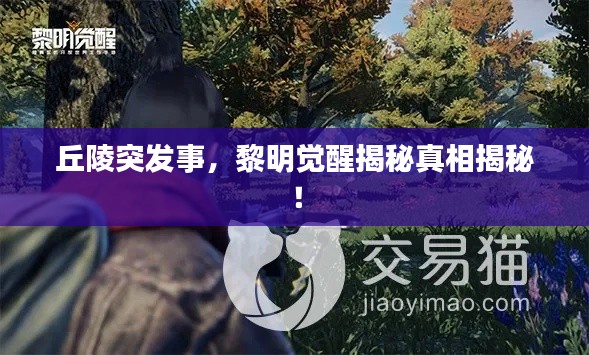 管窥蛙见 第2页