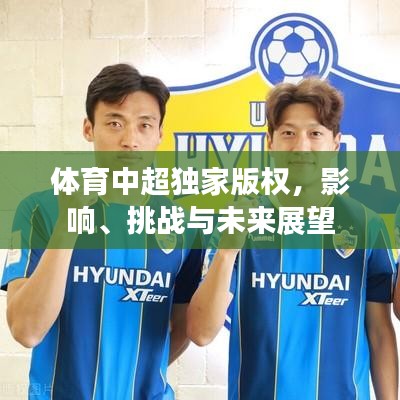 体育中超独家版权，影响、挑战与未来展望