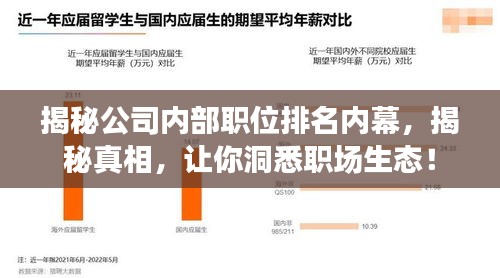 揭秘公司内部职位排名内幕，揭秘真相，让你洞悉职场生态！