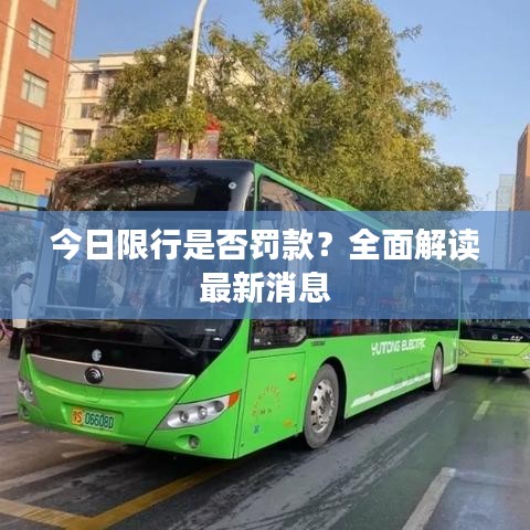 今日限行是否罚款？全面解读最新消息