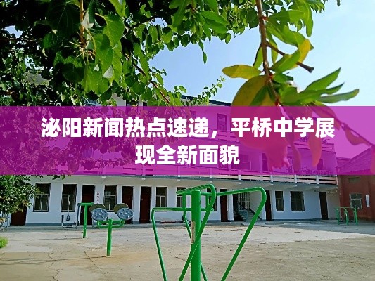 泌阳新闻热点速递，平桥中学展现全新面貌