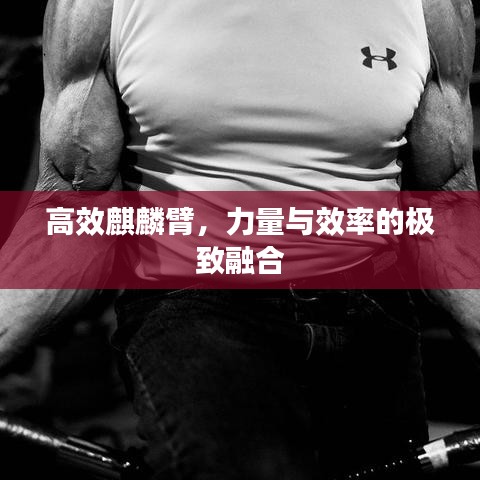 高效麒麟臂，力量与效率的极致融合