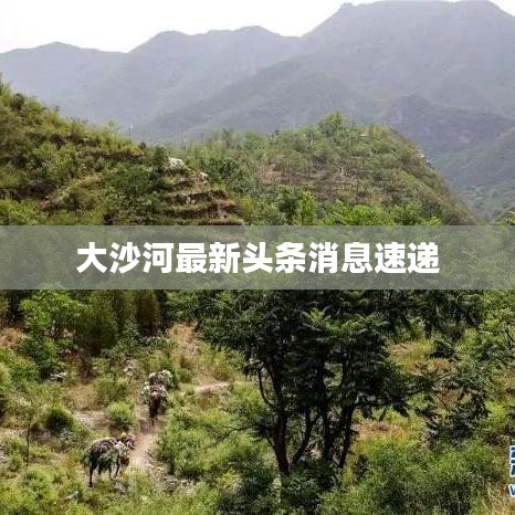 大沙河最新头条消息速递