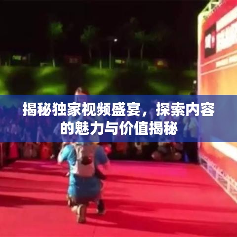 揭秘独家视频盛宴，探索内容的魅力与价值揭秘