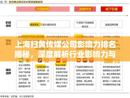 上海扫黄传媒公司影响力排名揭秘，深度解析行业影响力与传播力