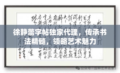 徐静蕾字帖独家代理，传承书法精髓，领略艺术魅力