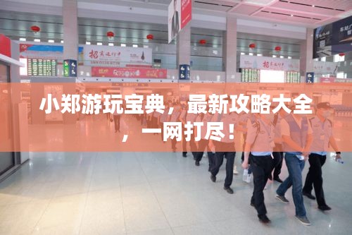 小郑游玩宝典，最新攻略大全，一网打尽！