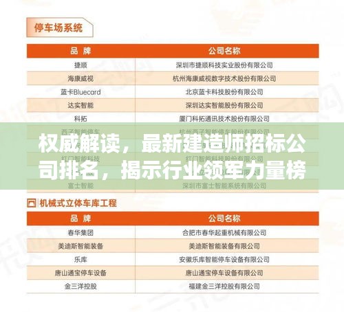 权威解读，最新建造师招标公司排名，揭示行业领军力量榜单！