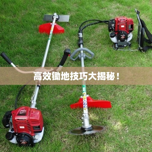 高效锄地技巧大揭秘！