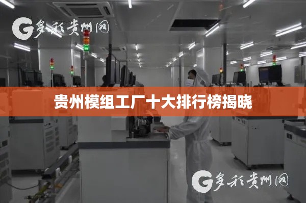贵州模组工厂十大排行榜揭晓