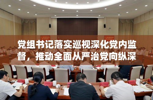 党组书记落实巡视深化党内监督，推动全面从严治党向纵深发展
