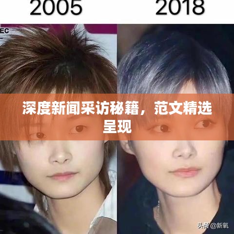 深度新闻采访秘籍，范文精选呈现