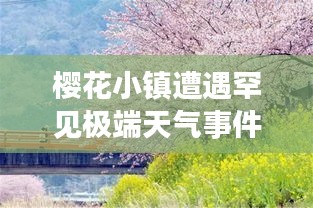 樱花小镇遭遇罕见极端天气事件
