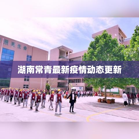 湖南常青最新疫情动态更新