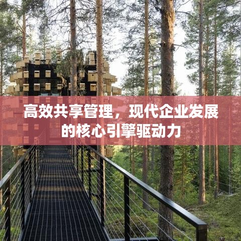 高效共享管理，现代企业发展的核心引擎驱动力