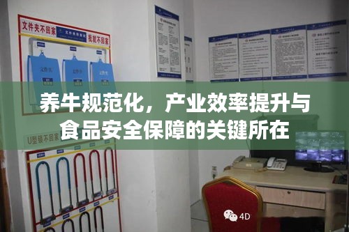 养牛规范化，产业效率提升与食品安全保障的关键所在