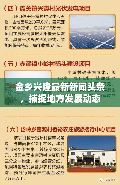 金乡兴隆最新新闻头条，捕捉地方发展动态