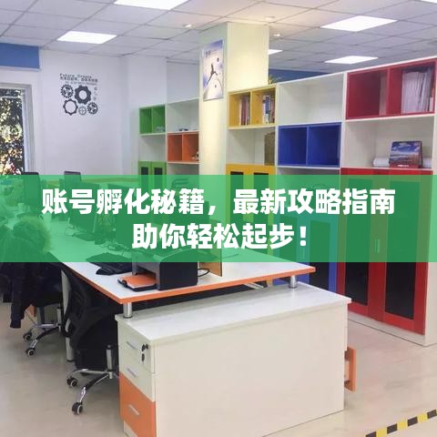 账号孵化秘籍，最新攻略指南助你轻松起步！