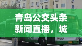 青岛公交头条新闻直播，城市交通的实时脉搏