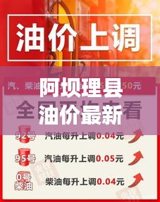 阿坝理县油价最新动态，今日油价走势解析及影响因素探讨