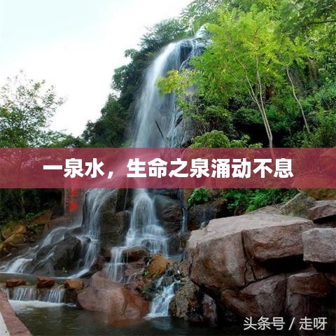 一泉水，生命之泉涌动不息