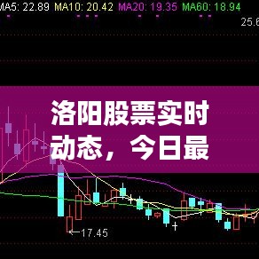 洛阳股票实时动态，今日最新消息速递