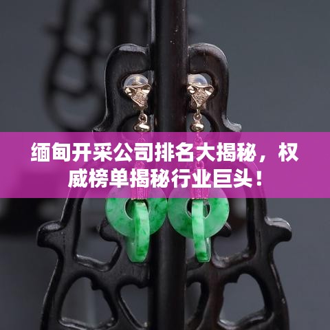 夫荣妻贵 第3页
