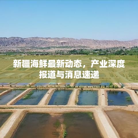 新疆海鲜最新动态，产业深度报道与消息速递