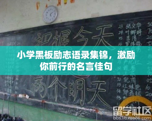 小学黑板励志语录集锦，激励你前行的名言佳句