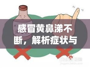 感冒黄鼻涕不断，解析症状与应对良方
