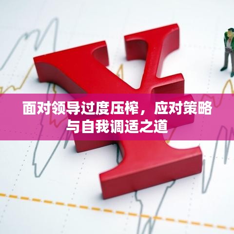 面对领导过度压榨，应对策略与自我调适之道