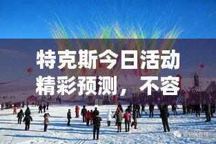 特克斯今日活动精彩预测，不容错过！
