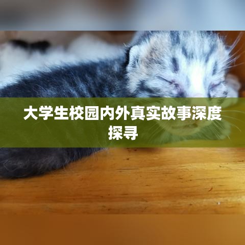 大学生校园内外真实故事深度探寻