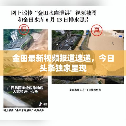 金田最新视频报道速递，今日头条独家呈现