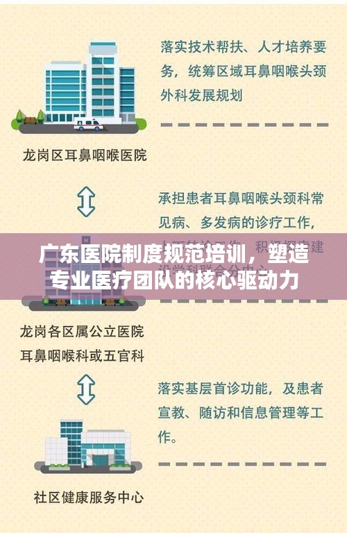 广东医院制度规范培训，塑造专业医疗团队的核心驱动力