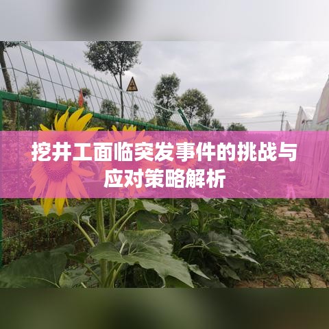 挖井工面临突发事件的挑战与应对策略解析