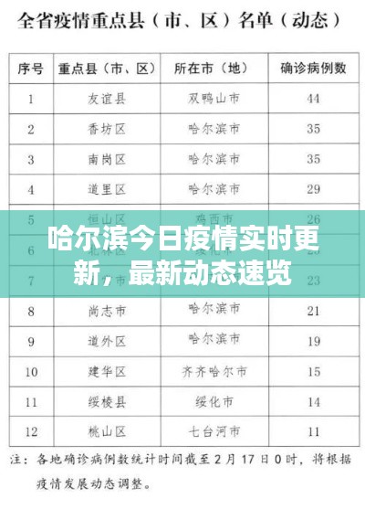 哈尔滨今日疫情实时更新，最新动态速览