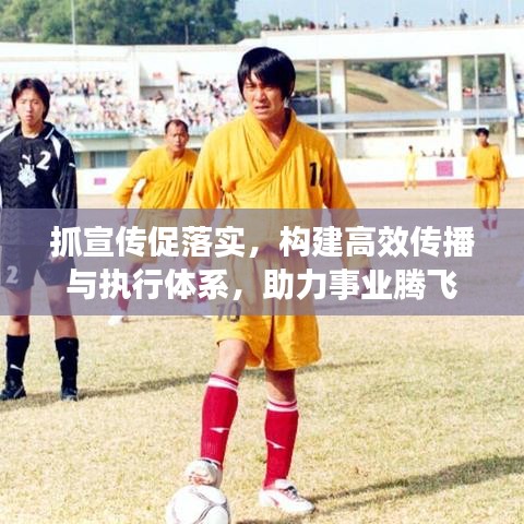 抓宣传促落实，构建高效传播与执行体系，助力事业腾飞
