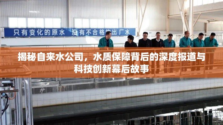 揭秘自来水公司，水质保障背后的深度报道与科技创新幕后故事