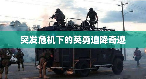 突发危机下的英勇迫降奇迹